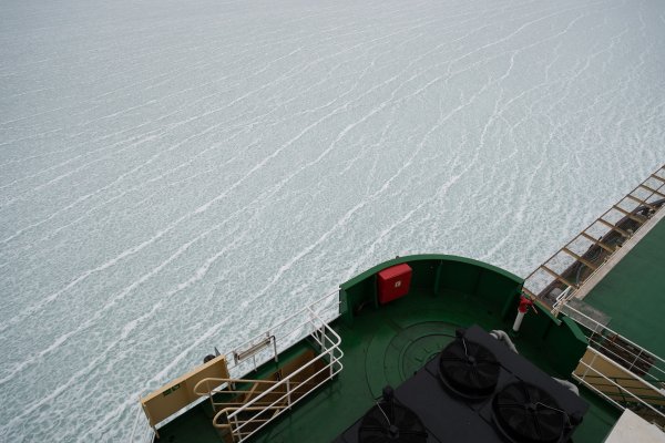 From the SWERUS-C3 Arctic Expedition.