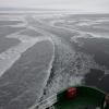 From the SWERUS-C3 Arctic Expedition.