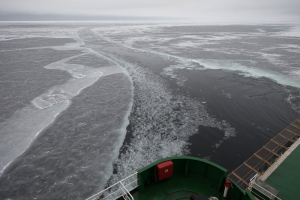 From the SWERUS-C3 Arctic Expedition.