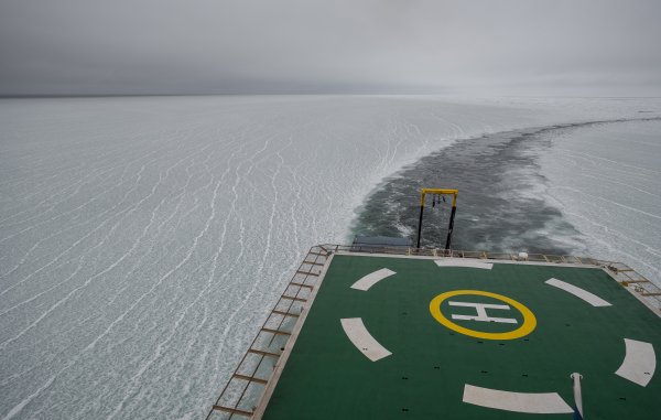 From the SWERUS-C3 Arctic Expedition.